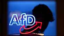 AfD sues intel agency over 'extremist' designation